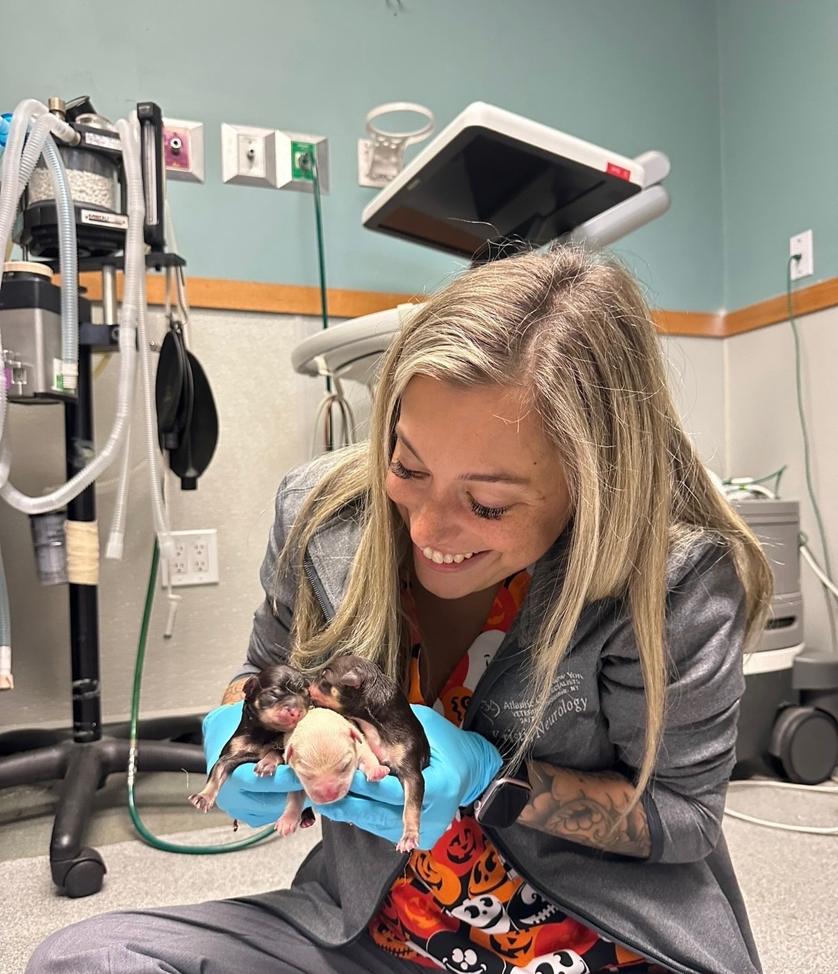 Kristi, Veterinary Assistant
